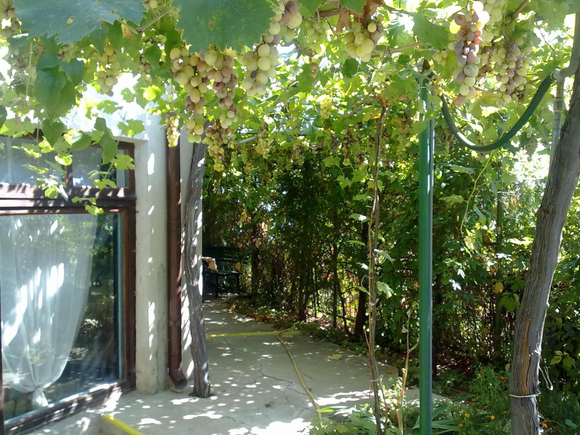 Villa Elfi โกลเดน แซนส์ ภายนอก รูปภาพ